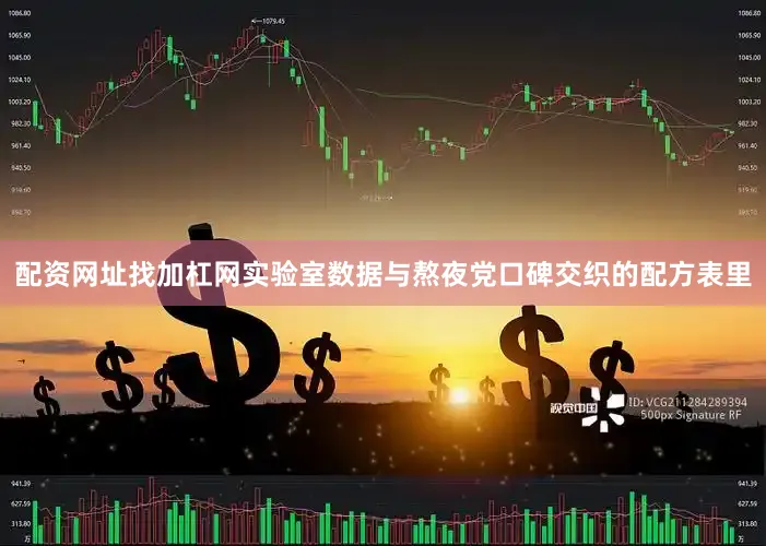配资网址找加杠网实验室数据与熬夜党口碑交织的配方表里
